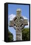 West Cross, Monasterboice, County Louth, Republic of Ireland, Europe-Rolf Richardson-Framed Stretched Canvas