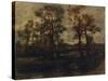 West End Fields, Hampstead, c1833-John Constable-Stretched Canvas