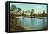 West End Lake, San Antonio, Texas-null-Framed Stretched Canvas