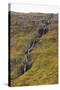 West Fjords, Iceland, Polar Regions-Michael-Stretched Canvas