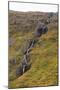 West Fjords, Iceland, Polar Regions-Michael-Mounted Photographic Print