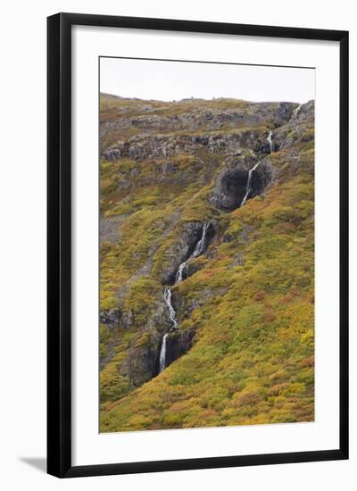 West Fjords, Iceland, Polar Regions-Michael-Framed Photographic Print