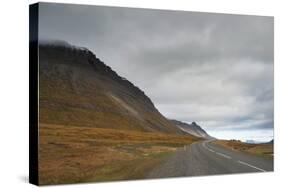 West Fjords, Iceland, Polar Regions-Michael-Stretched Canvas