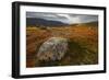 West Fjords, Iceland, Polar Regions-Michael-Framed Photographic Print