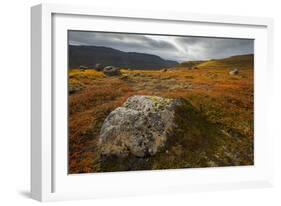 West Fjords, Iceland, Polar Regions-Michael-Framed Photographic Print