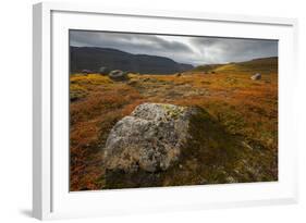 West Fjords, Iceland, Polar Regions-Michael-Framed Photographic Print