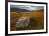 West Fjords, Iceland, Polar Regions-Michael-Framed Photographic Print