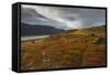 West Fjords, Iceland, Polar Regions-Michael-Framed Stretched Canvas