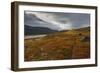 West Fjords, Iceland, Polar Regions-Michael-Framed Photographic Print