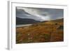 West Fjords, Iceland, Polar Regions-Michael-Framed Photographic Print