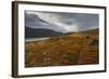 West Fjords, Iceland, Polar Regions-Michael-Framed Photographic Print