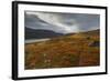 West Fjords, Iceland, Polar Regions-Michael-Framed Photographic Print