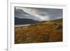 West Fjords, Iceland, Polar Regions-Michael-Framed Photographic Print