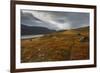 West Fjords, Iceland, Polar Regions-Michael-Framed Photographic Print