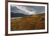 West Fjords, Iceland, Polar Regions-Michael-Framed Photographic Print