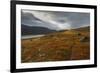 West Fjords, Iceland, Polar Regions-Michael-Framed Photographic Print