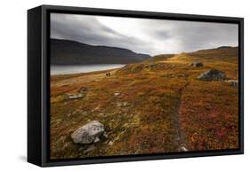 West Fjords, Iceland, Polar Regions-Michael-Framed Stretched Canvas