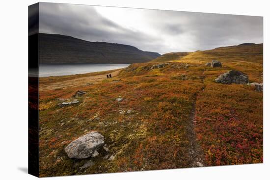 West Fjords, Iceland, Polar Regions-Michael-Stretched Canvas