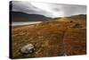 West Fjords, Iceland, Polar Regions-Michael-Stretched Canvas