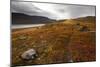 West Fjords, Iceland, Polar Regions-Michael-Mounted Photographic Print