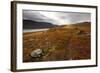 West Fjords, Iceland, Polar Regions-Michael-Framed Photographic Print