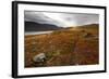 West Fjords, Iceland, Polar Regions-Michael-Framed Photographic Print