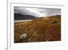 West Fjords, Iceland, Polar Regions-Michael-Framed Photographic Print