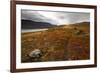 West Fjords, Iceland, Polar Regions-Michael-Framed Photographic Print