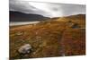 West Fjords, Iceland, Polar Regions-Michael-Mounted Photographic Print
