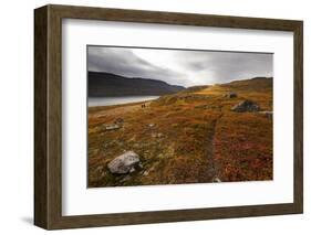 West Fjords, Iceland, Polar Regions-Michael-Framed Photographic Print