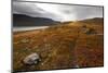 West Fjords, Iceland, Polar Regions-Michael-Mounted Photographic Print