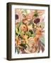 West Flora II-Grace Popp-Framed Art Print