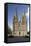 West Front, Lichfield Cathedral, Lichfield, Staffordshire, England, United Kingdom-Nick Servian-Framed Stretched Canvas