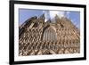 West Front, Lichfield Cathedral, Lichfield, Staffordshire, England, United Kingdom-Nick Servian-Framed Photographic Print