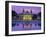 West Front of the Casino, Monte Carlo, Monaco, Europe-Ruth Tomlinson-Framed Photographic Print