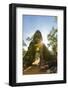 West Gate at Ta Prohm Temple (Rajavihara)-Michael Nolan-Framed Photographic Print