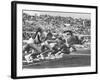 West Germany's Armin Harry, Winner of Men's 100 Meter Dash at Start of Event in Summer Olympics-George Silk-Framed Premium Photographic Print