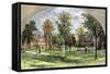 West Hall and Library of Williams College, Williamstown, Ma, 1880s-null-Framed Stretched Canvas