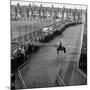 West Ham V. Burnley, 1964-Fresco-Mounted Photographic Print