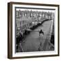 West Ham V. Burnley, 1964-Fresco-Framed Photographic Print