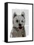 West Highland Terrier Plain-Fab Funky-Framed Stretched Canvas