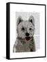 West Highland Terrier Plain-Fab Funky-Framed Stretched Canvas