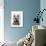 West Highland Terrier Plain-Fab Funky-Art Print displayed on a wall