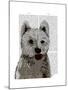 West Highland Terrier Plain-Fab Funky-Mounted Art Print