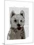 West Highland Terrier Plain-Fab Funky-Mounted Art Print