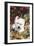 West Highland Terrier(S) in Autumn, Vernon, Connecticut, USA-Lynn M^ Stone-Framed Photographic Print