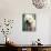 West Highland Terrier / Westie Panting-Adriano Bacchella-Photographic Print displayed on a wall