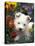 West Highland Terrier / Westie Puppy Among Flowers-Adriano Bacchella-Stretched Canvas