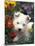 West Highland Terrier / Westie Puppy Among Flowers-Adriano Bacchella-Mounted Photographic Print