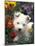 West Highland Terrier / Westie Puppy Among Flowers-Adriano Bacchella-Mounted Photographic Print